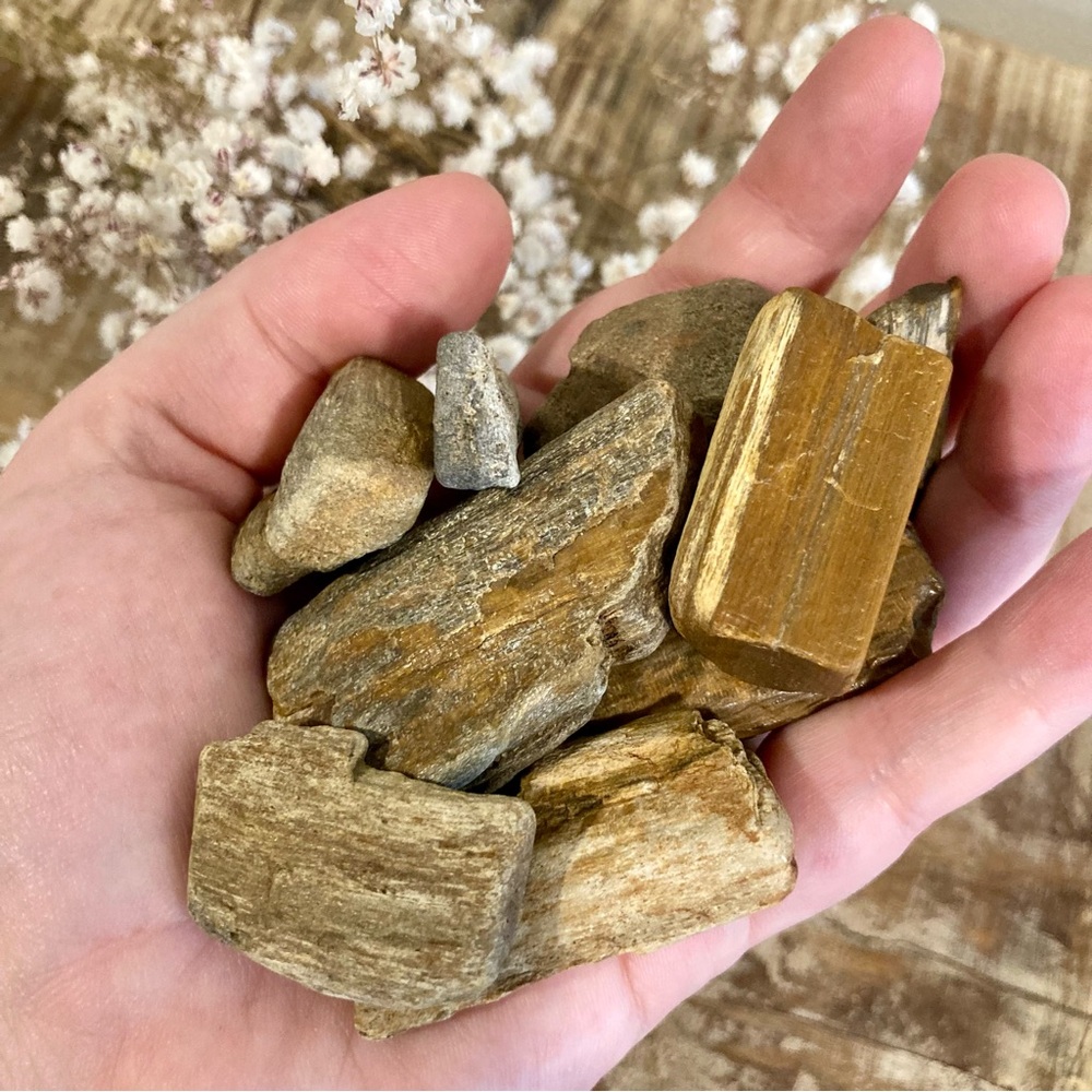 10pcs Petrified Wood Small Pieces 1 1/4” Long Rocks